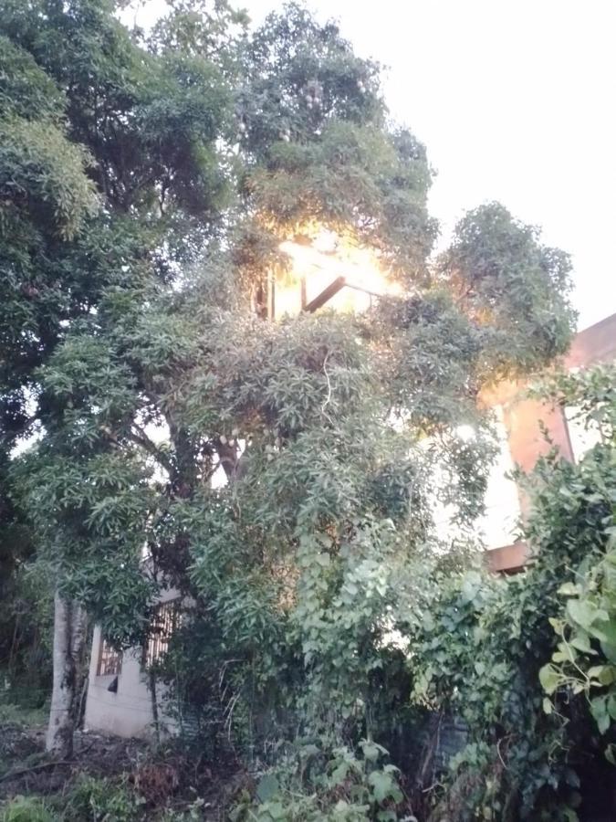 La Casita Del Arbol Guaduas Cundi.酒店 外观 照片