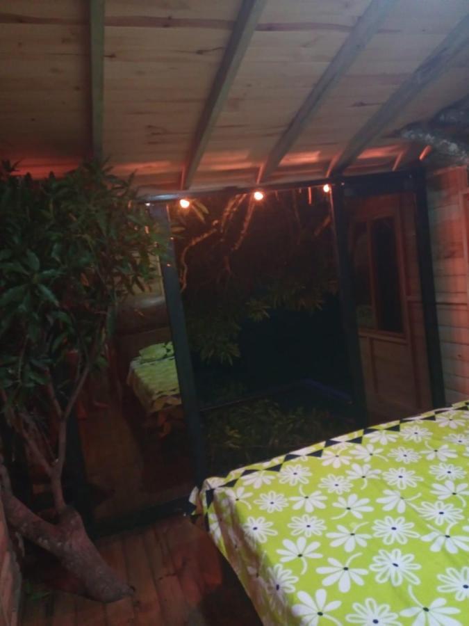 La Casita Del Arbol Guaduas Cundi.酒店 外观 照片